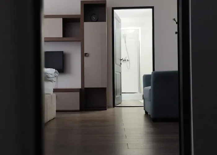 Apartament Cu 1 Camera Ultracentral